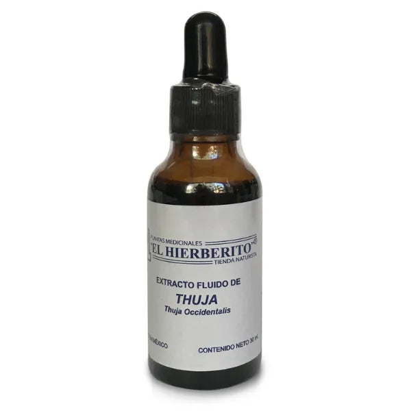 extracto-fluido-de-thuja