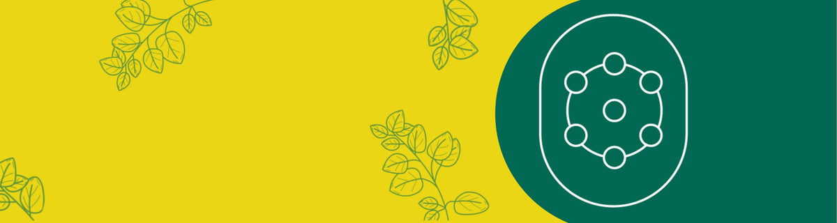 banner de suplementos antioxidantes 