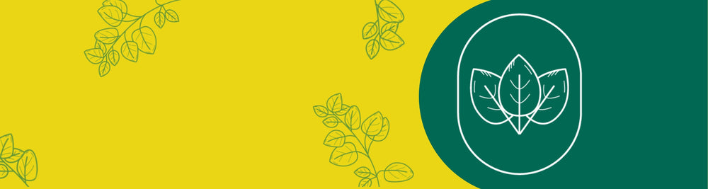 banner de superfoods el hierberito