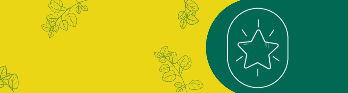 banner el hierberito herbolaria 