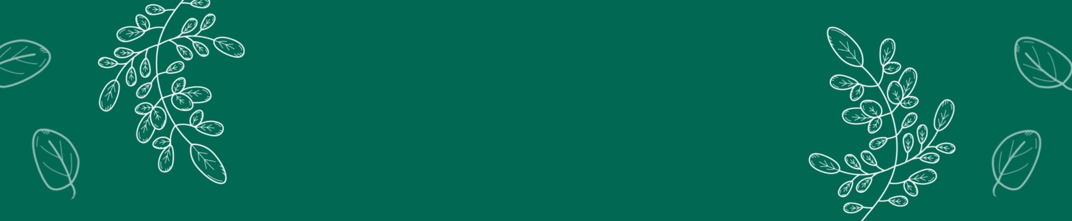 banner de categorioas el hierberito herbolaria